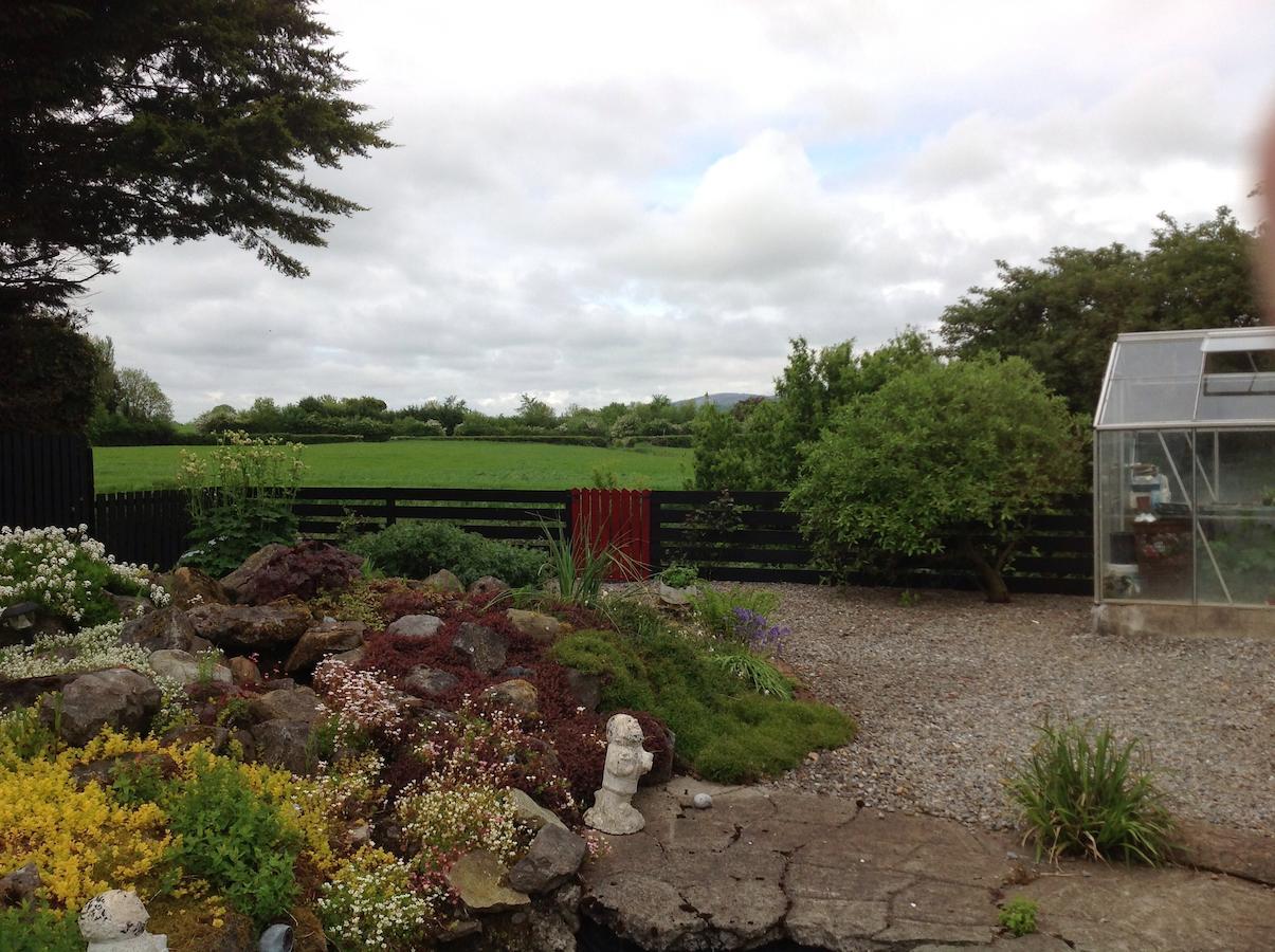Barrow View Accommodation Mountmellick Exterior foto